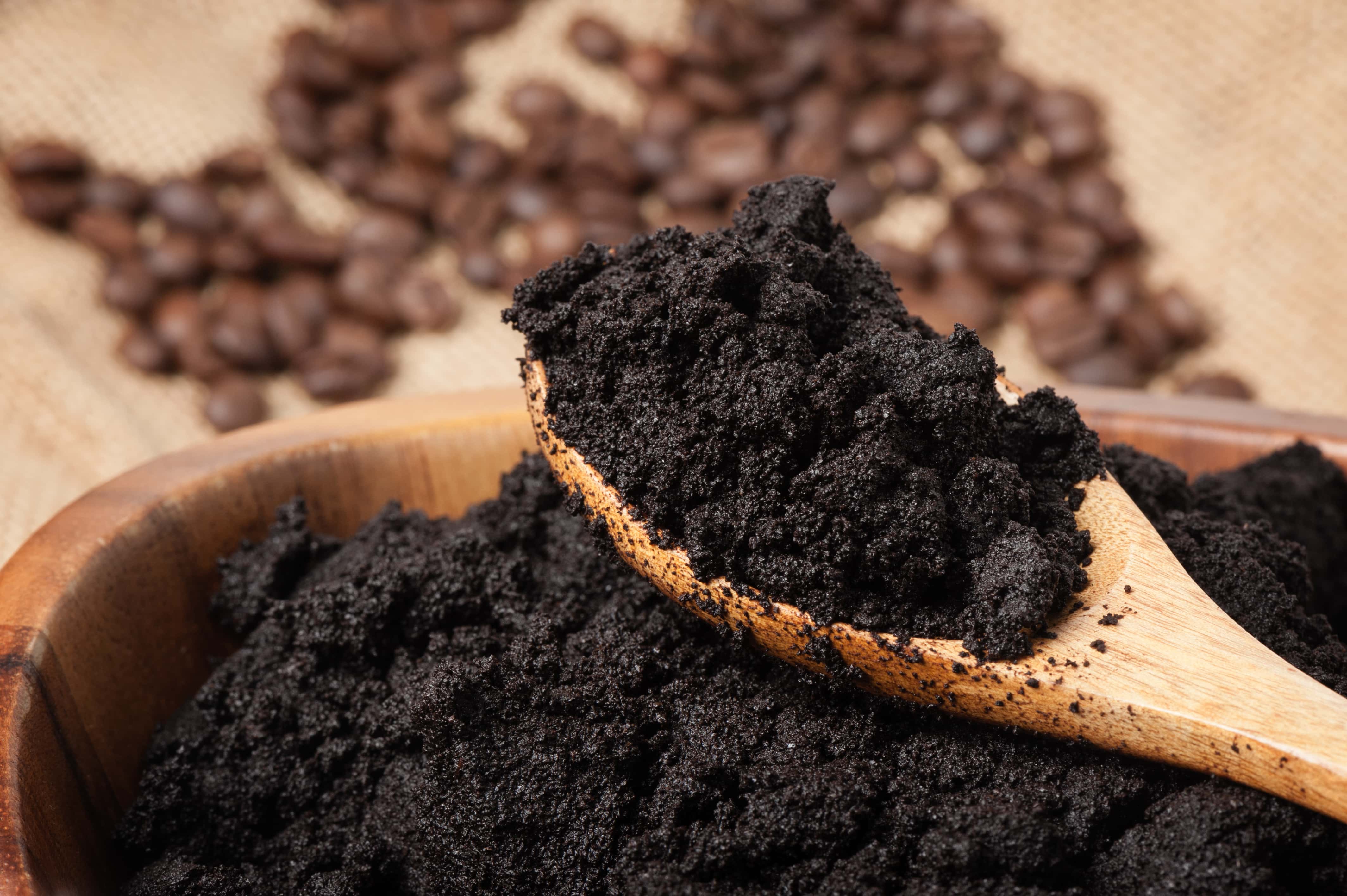 Coffee grounds to remove ants 