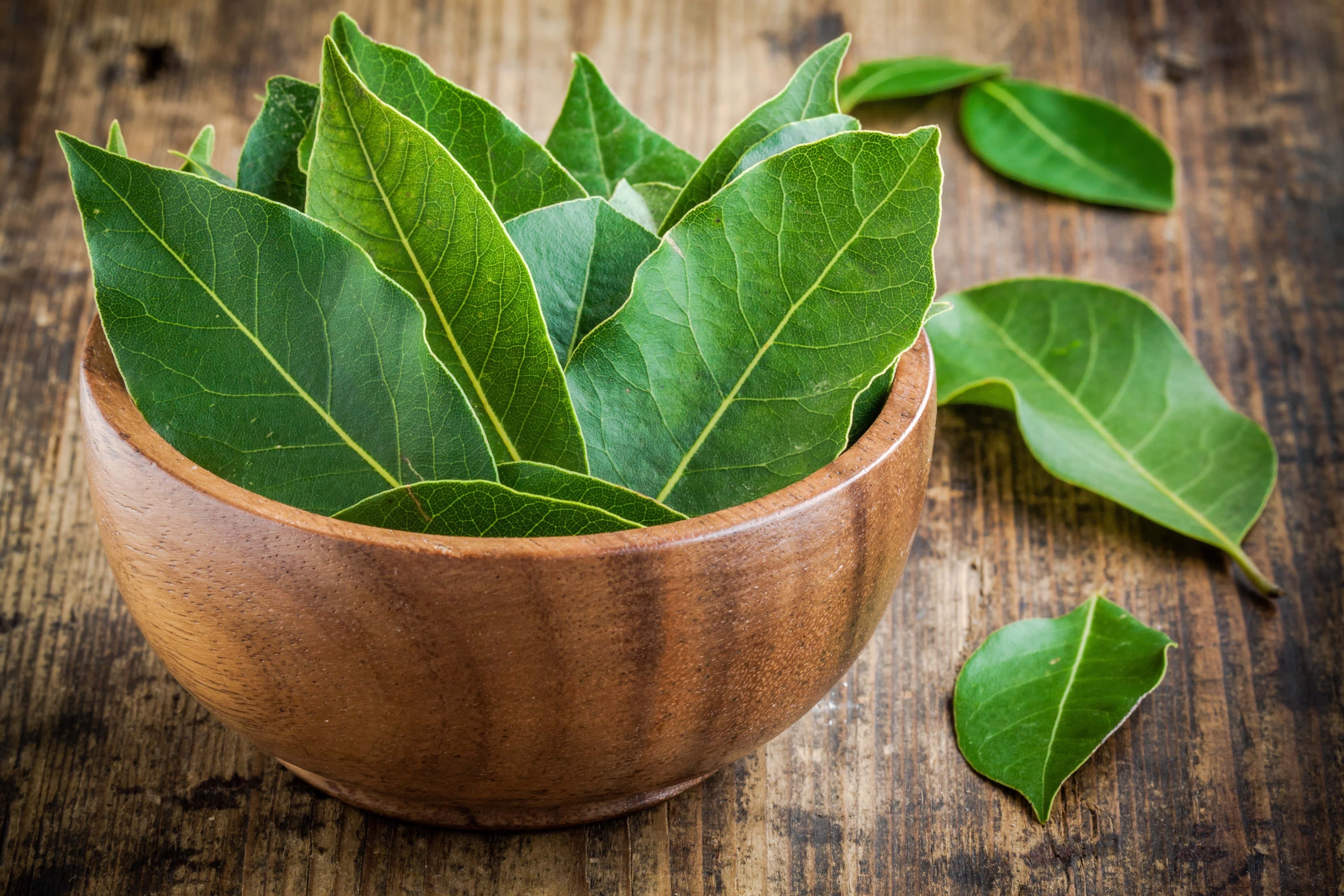 bay leaves to remove wooden pest