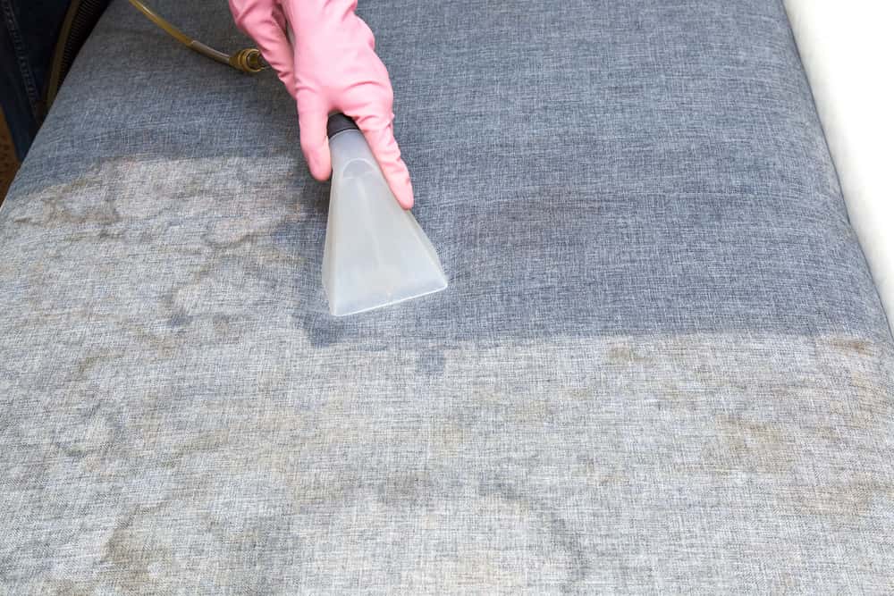 cleaning surface debris in sofa