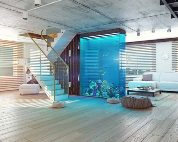 Floor To ceiling Aquarium for Living Room