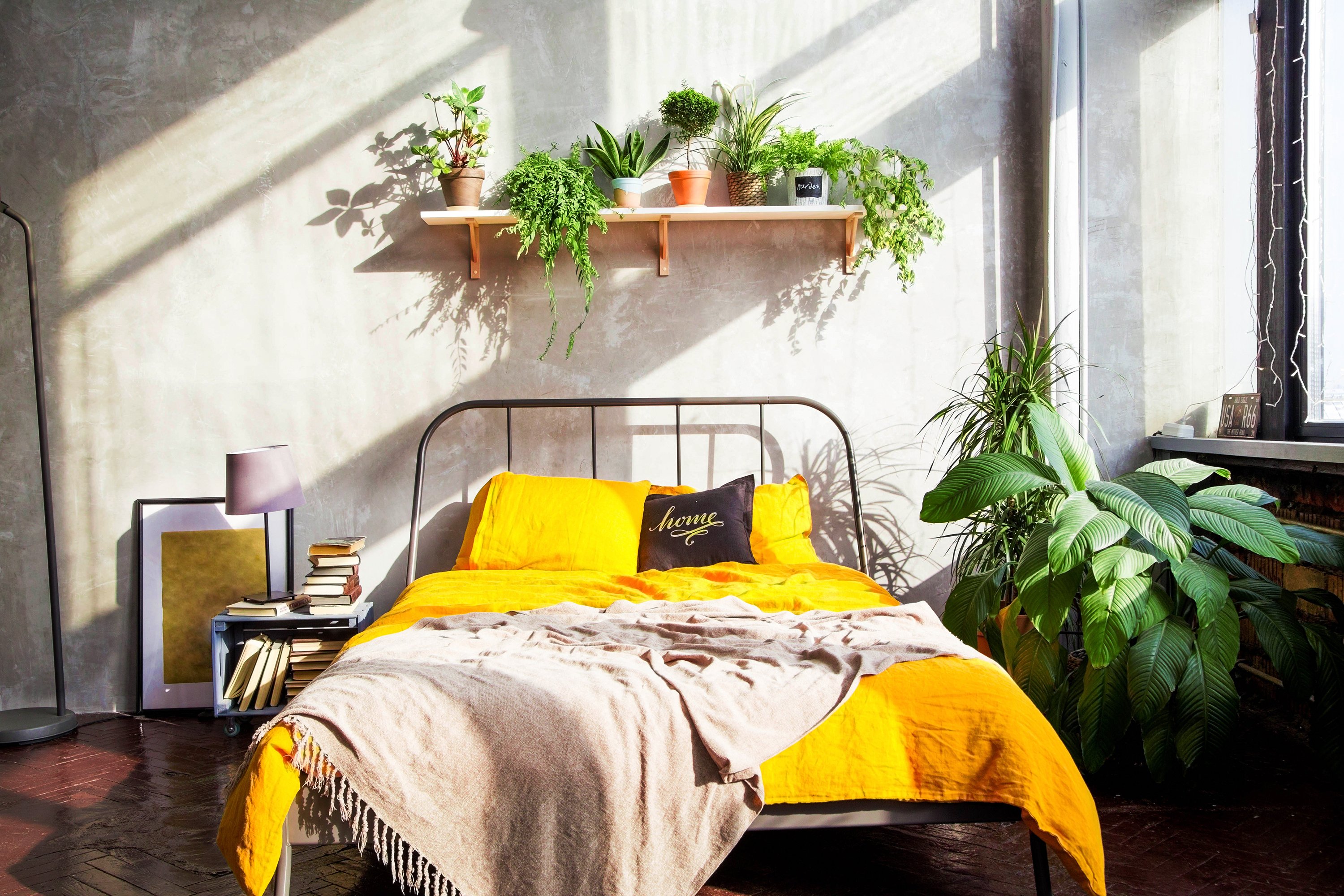 how to decorate my bedroom using plants