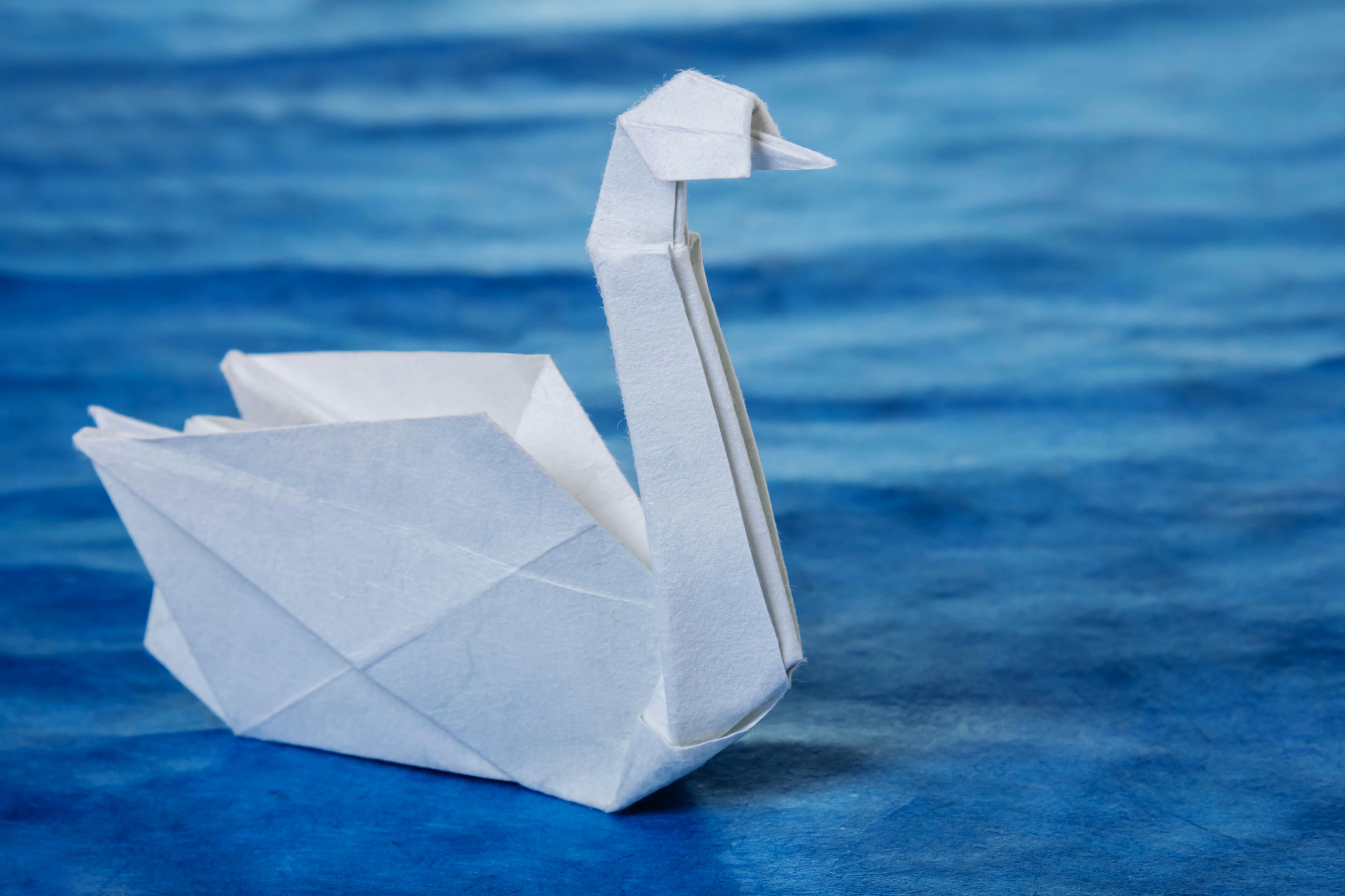 paper swan origami art