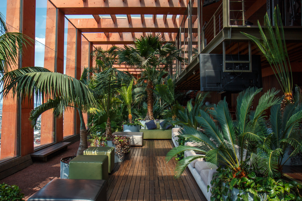terrace garden with pergolas - Ideeën voor balkonontwerp die uw buitenruimte mooi zullen maken