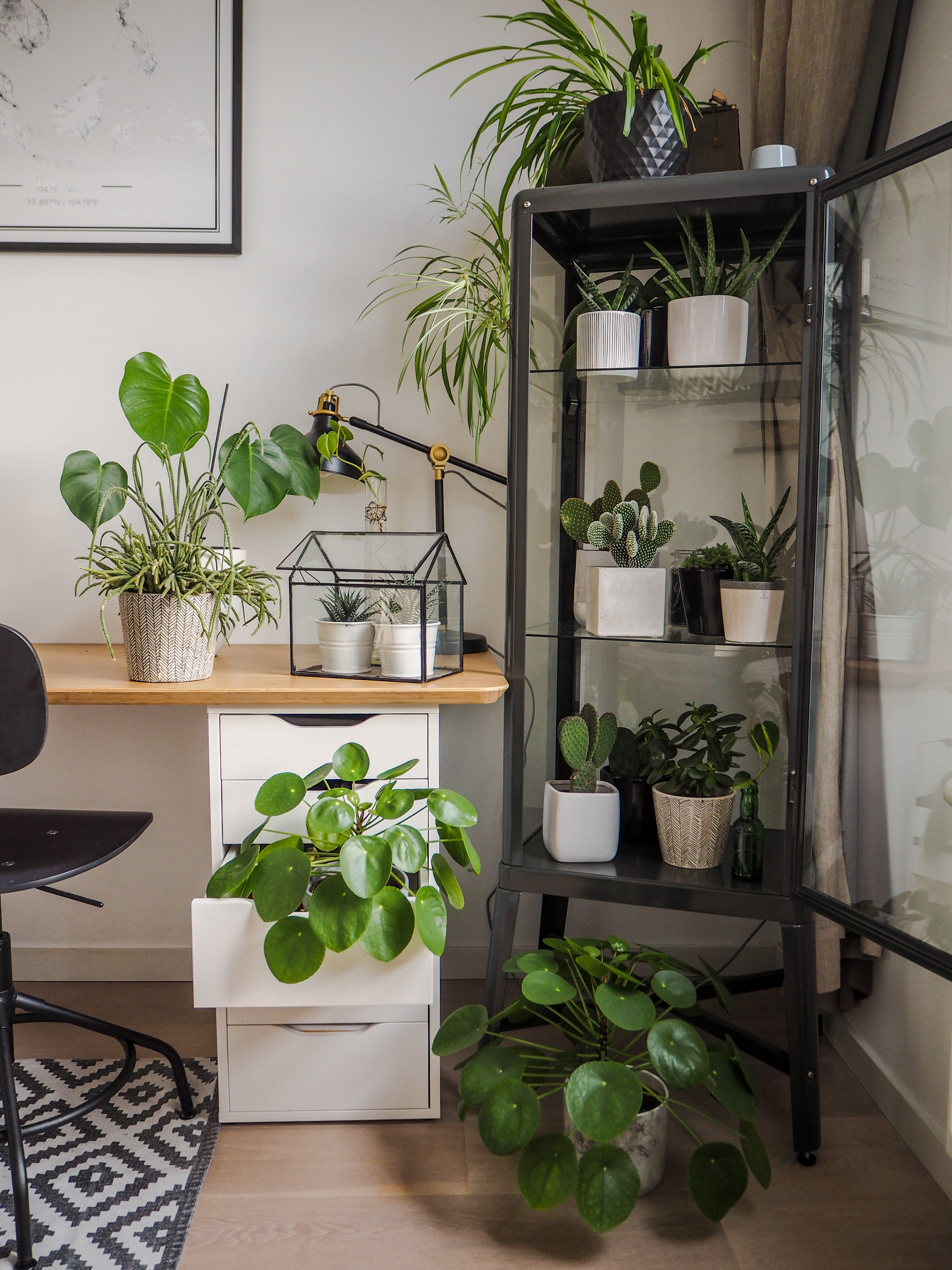 study table with plants