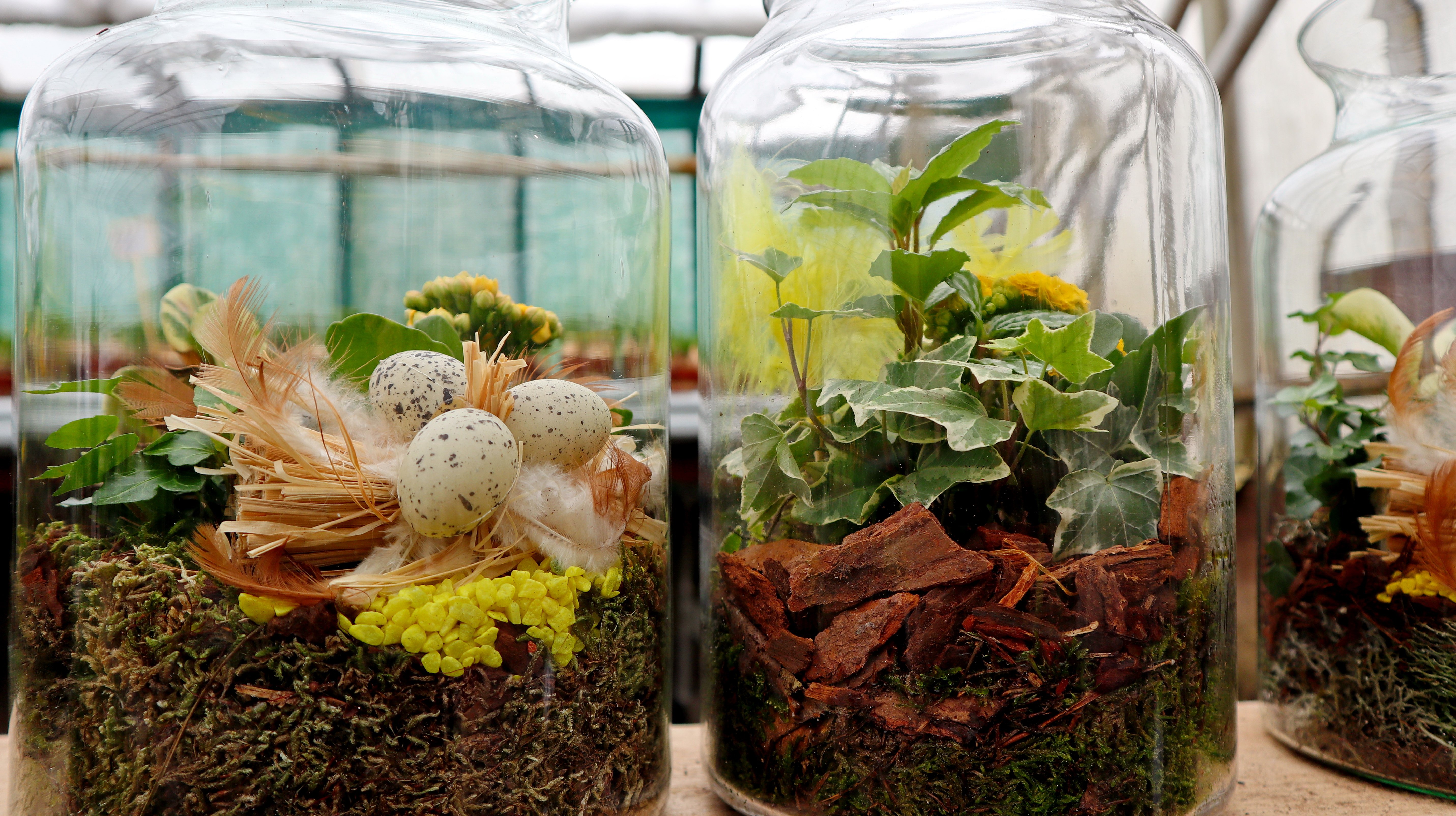 Terrarium Filled with Spring Greens