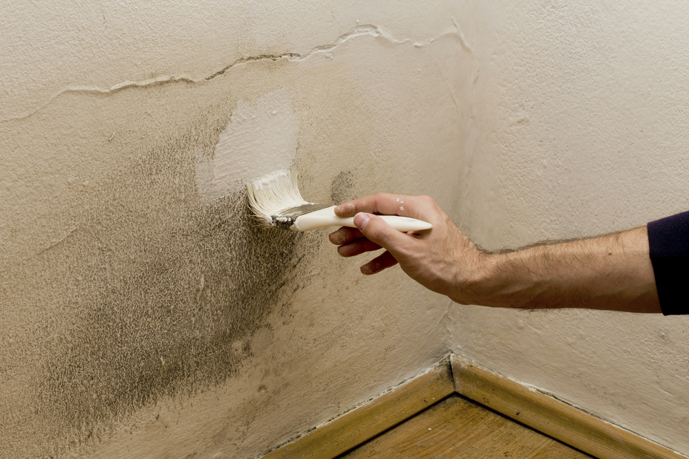 wall dampness prevention tips