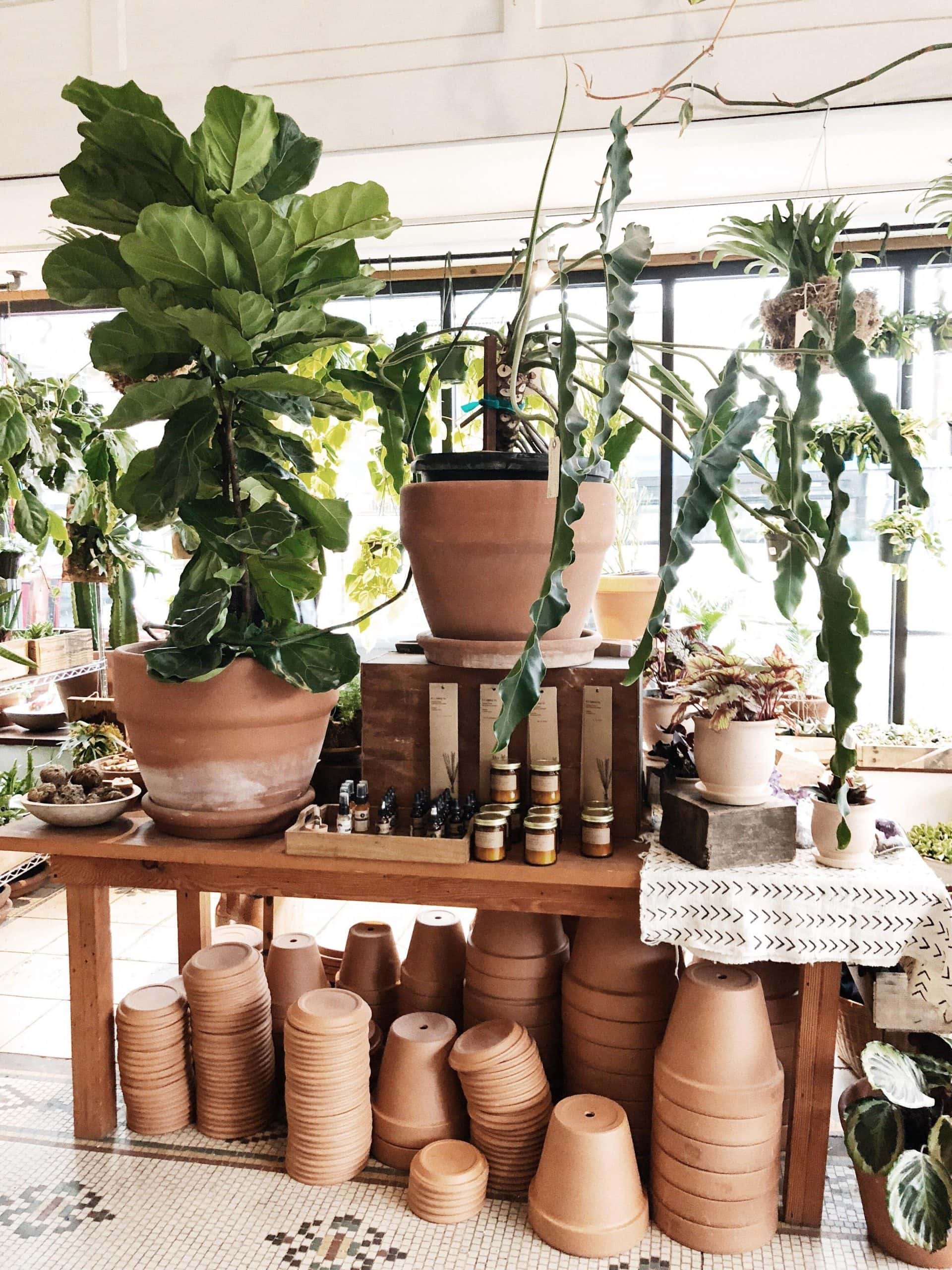 terracotta inspired planters
