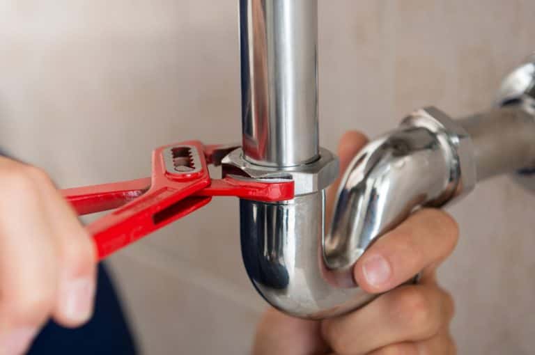 kitchen sink maintenance for pest control