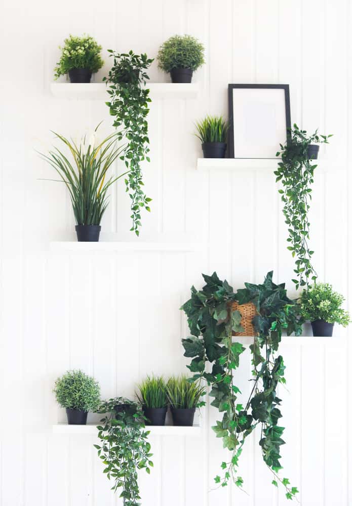 Floating shelves ideas for Plants 