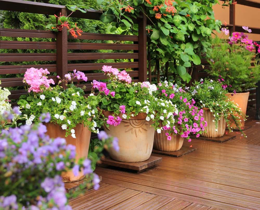 terrace garden with planters and pots