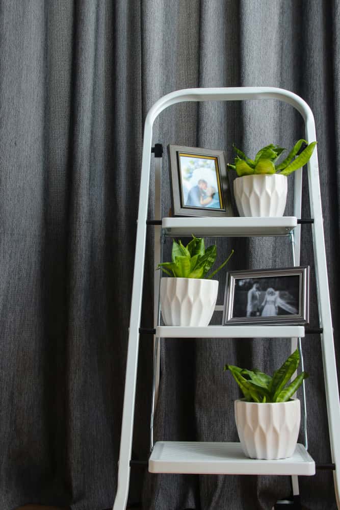 photo frames and memories ladder shelf