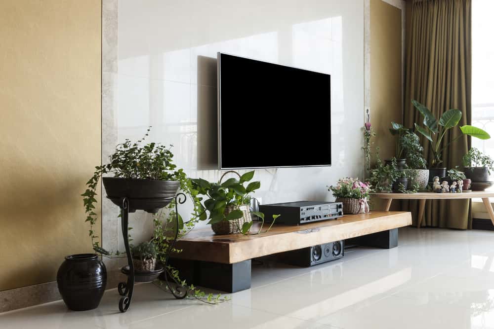 hide tv wires with plants