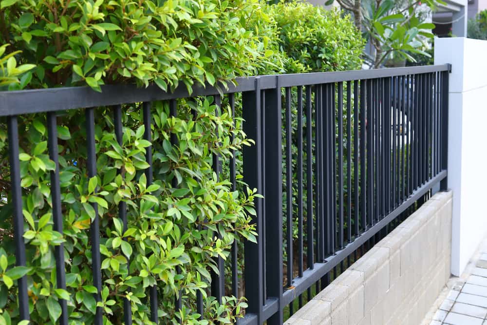 metal fence boundry wall design
