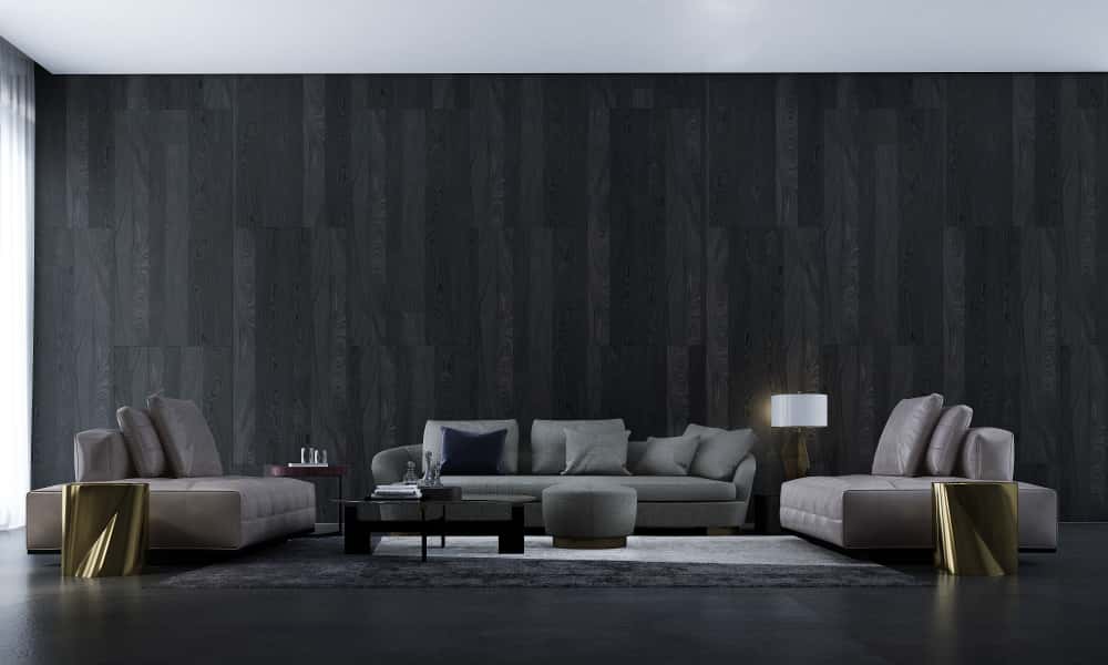 dark colored living room