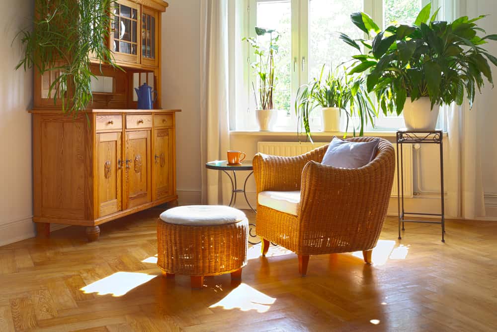 Top Tips on How to Decorate a Living Room with Plants
