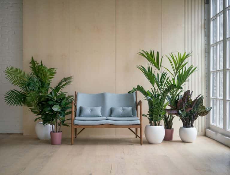 living room indoor plants decoration ideas - Toptips voor het decoreren van een woonkamer met planten