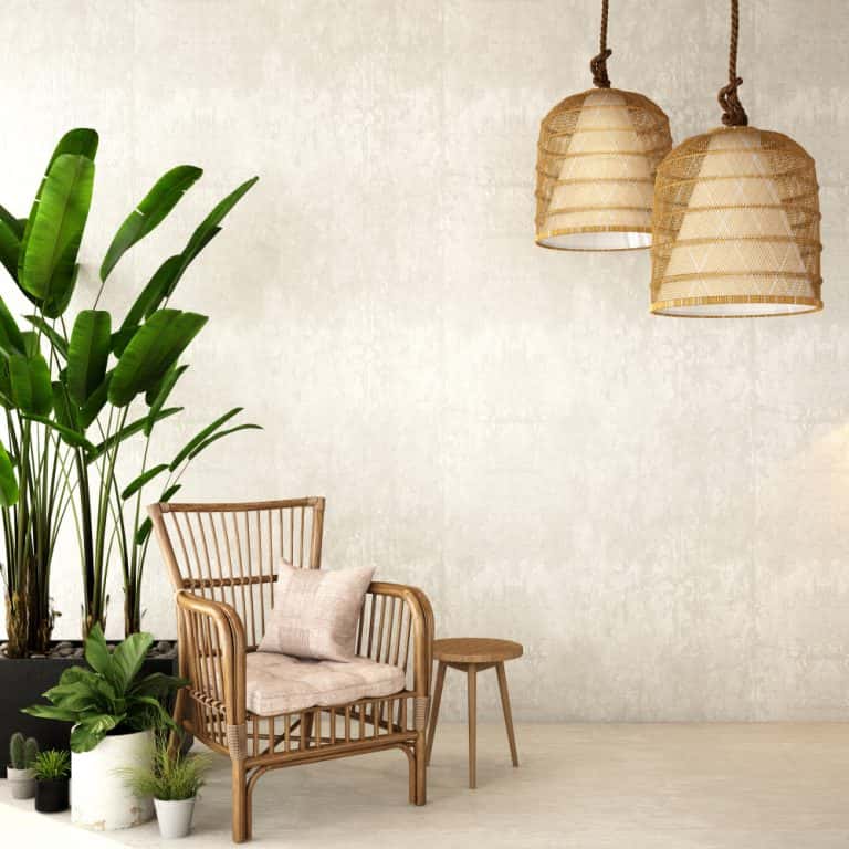 low light indoor plants - Toptips voor het decoreren van een woonkamer met planten