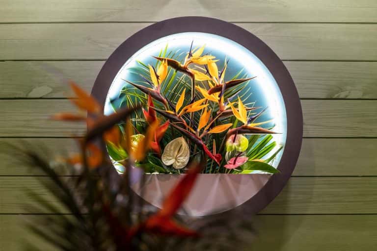 tropical plants - Toptips voor het decoreren van een woonkamer met planten