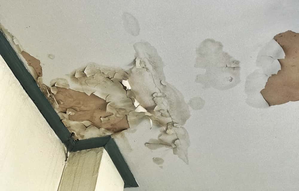 hide wall seepage from ceilings
