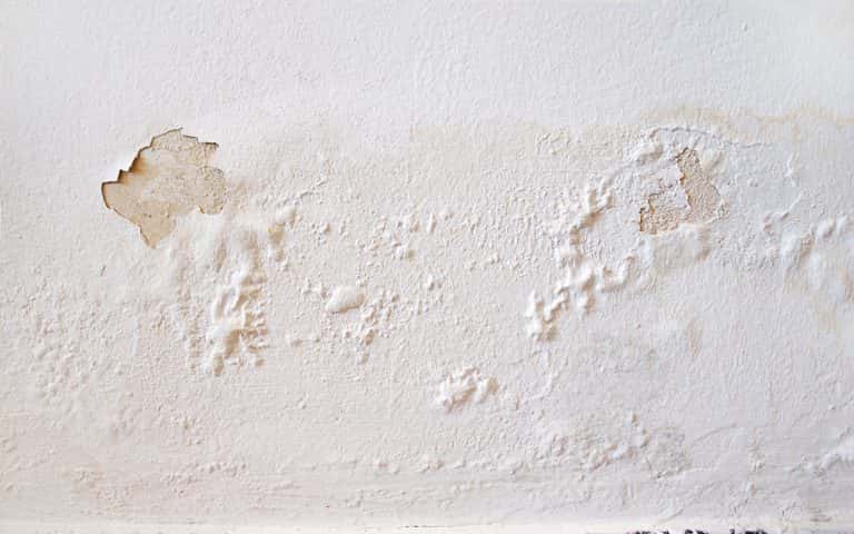 how to remove seepage from wall