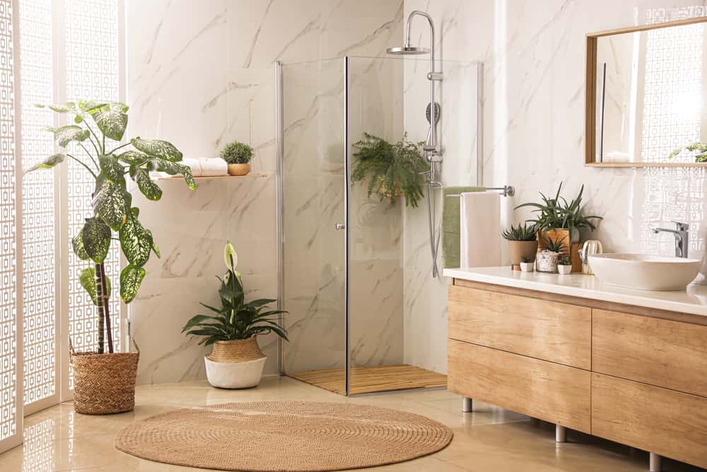plants ideas for bathroom interiors