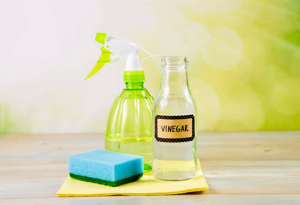 vinegar to get rid of spiders