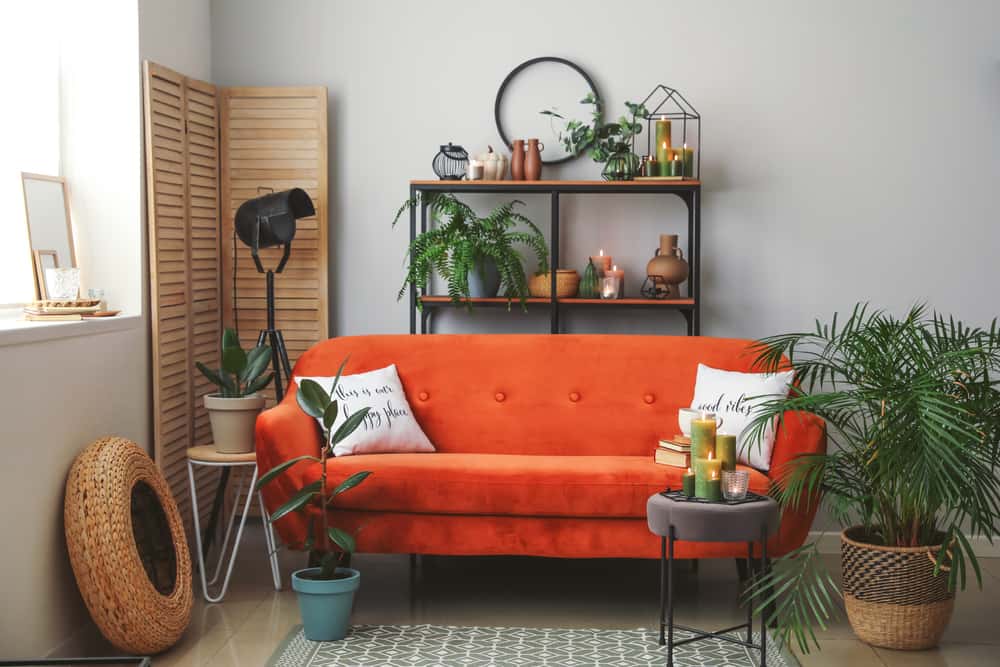 orange colour sofa 