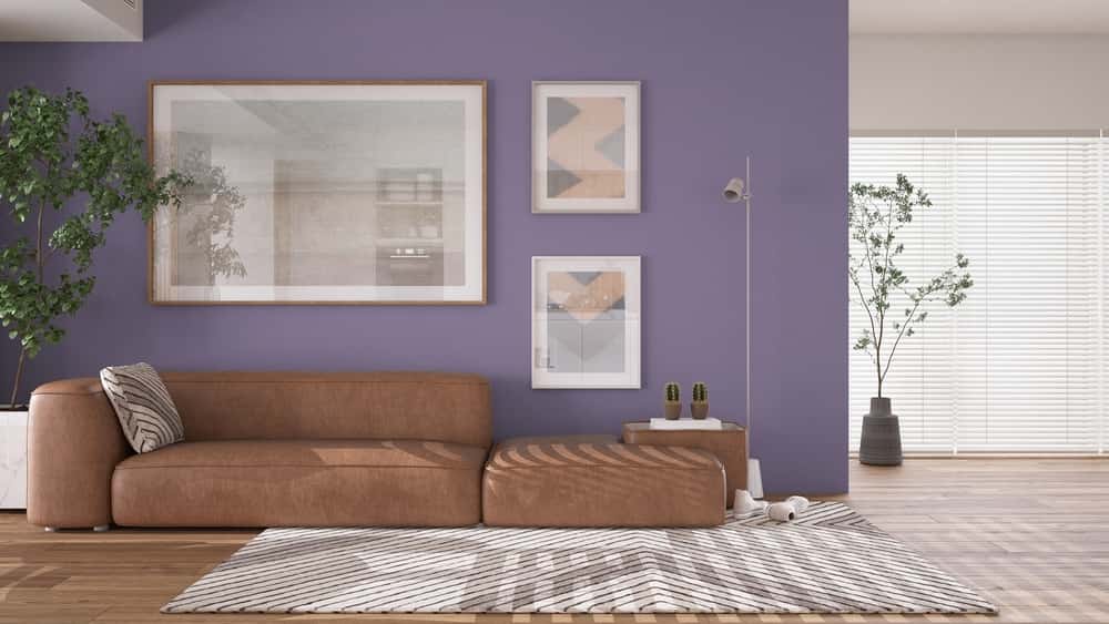 purple wall and brown sofa 