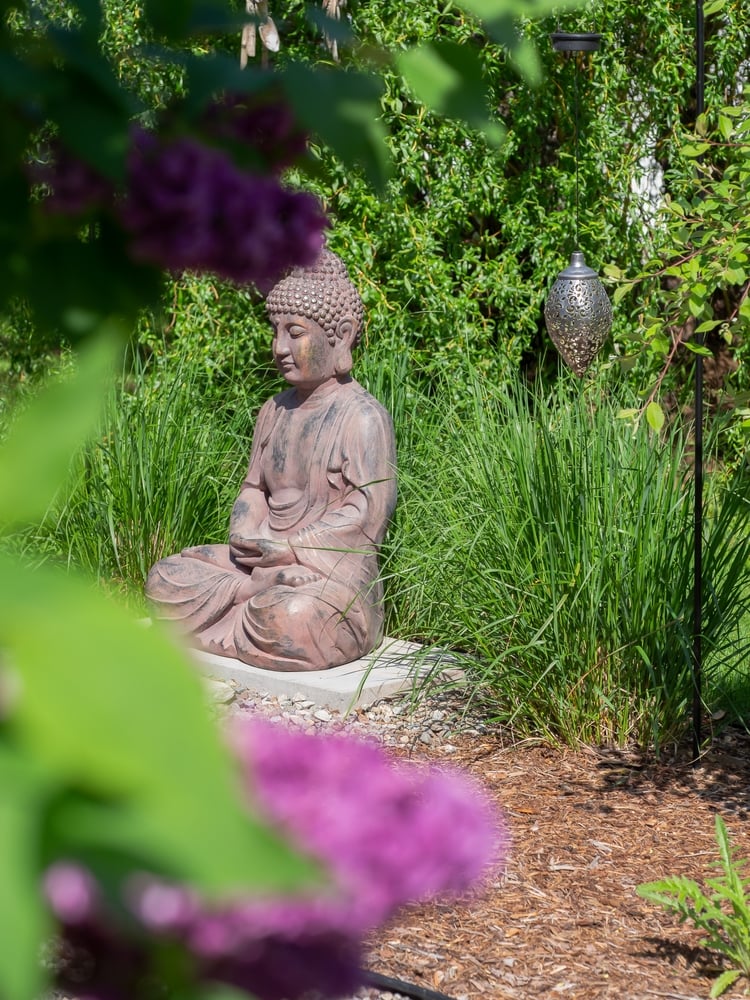 in the garden buddha statue