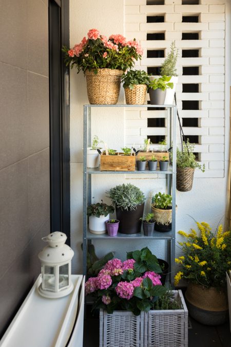 How to Make a Vertical Garden Indoors - HomeLane Blog