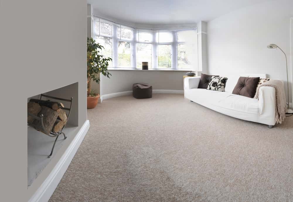 wall-to-wall or broadloom carpet