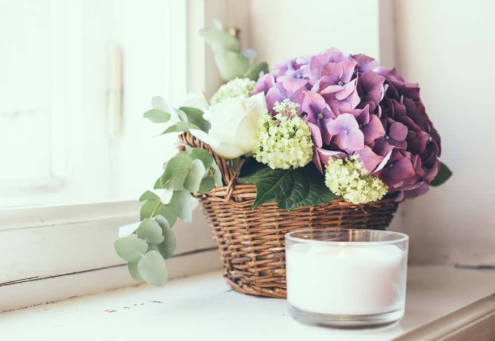 Liven Your Home with Fresh Flowers