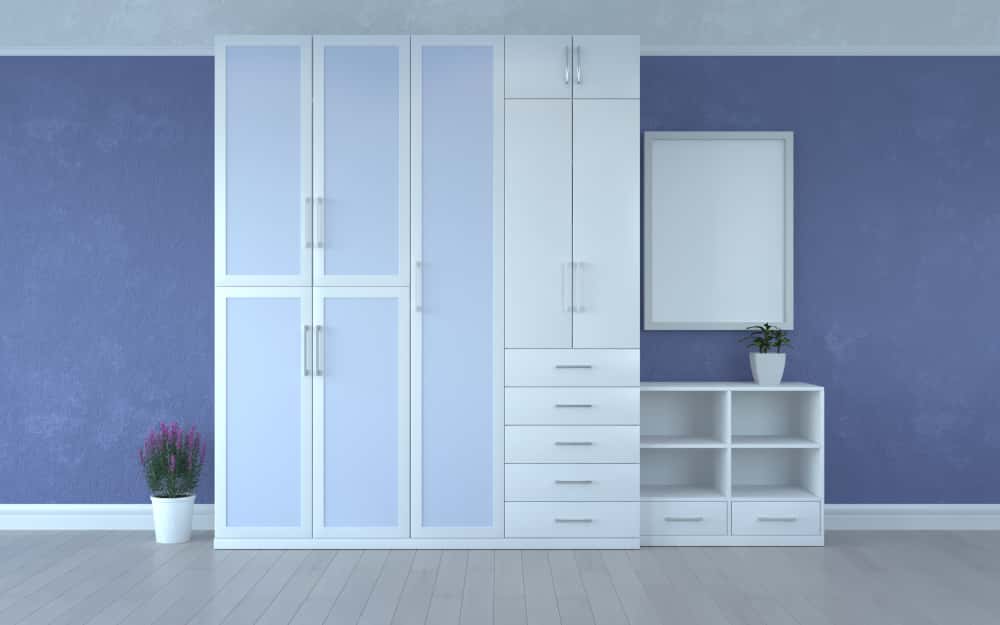 blue and white wardrobe design
