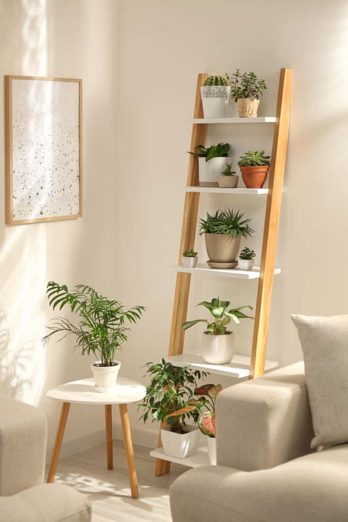 5 tier corner shelf - 13 ideeën om een ​​hoekplank voor de woonkamer te stylen