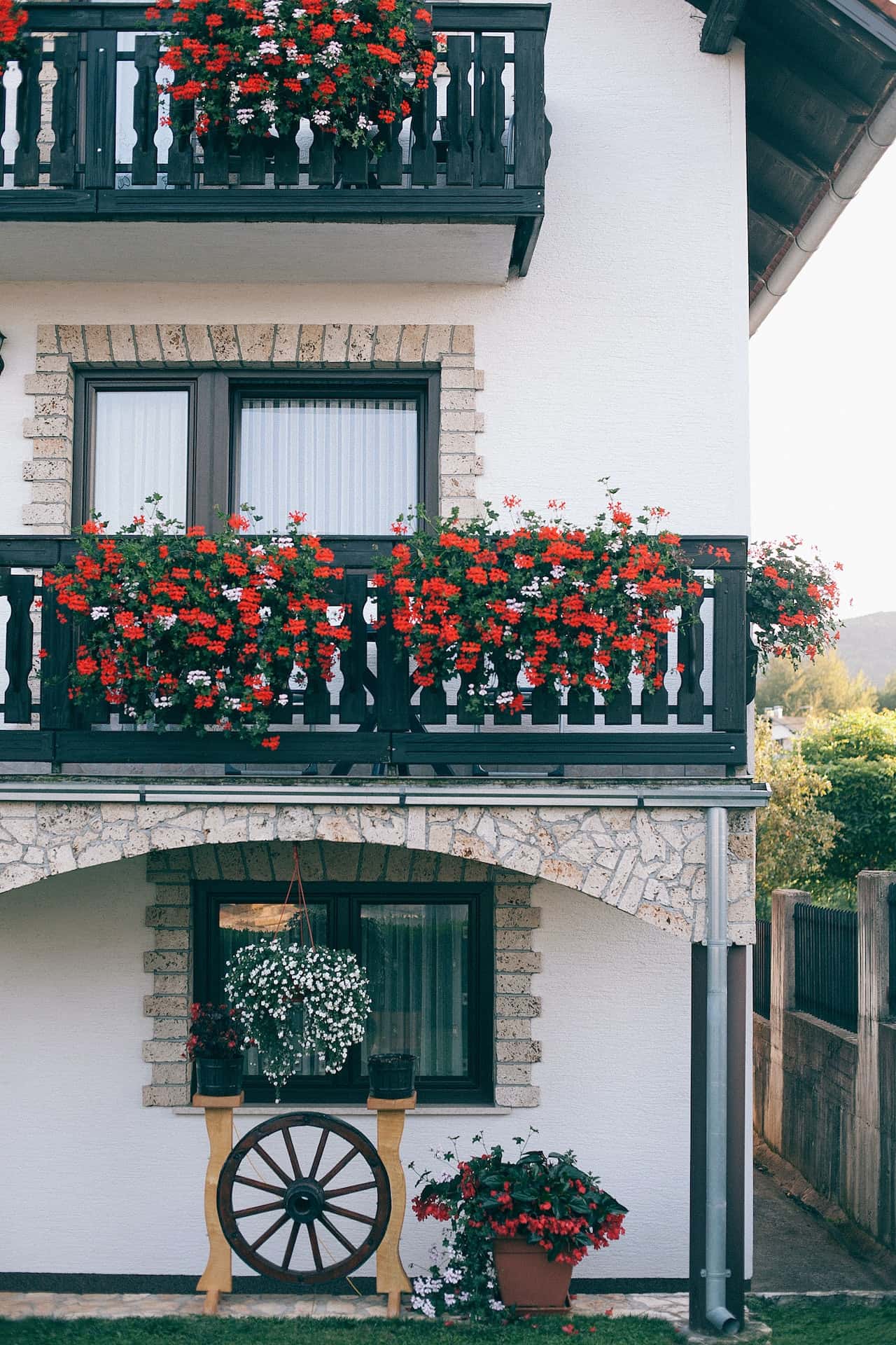 flower-filled balconies plant