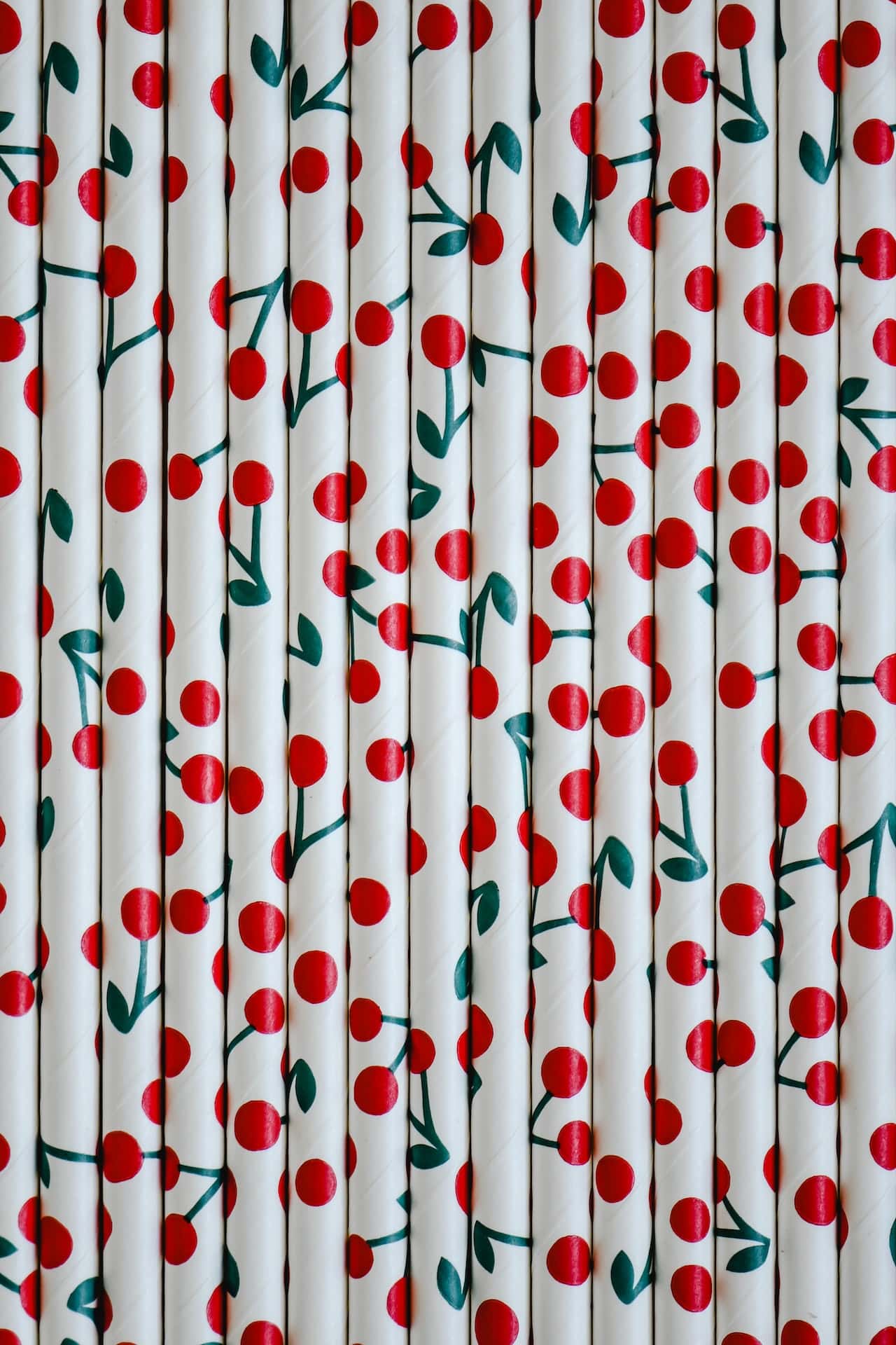 polka dot print shower curtain