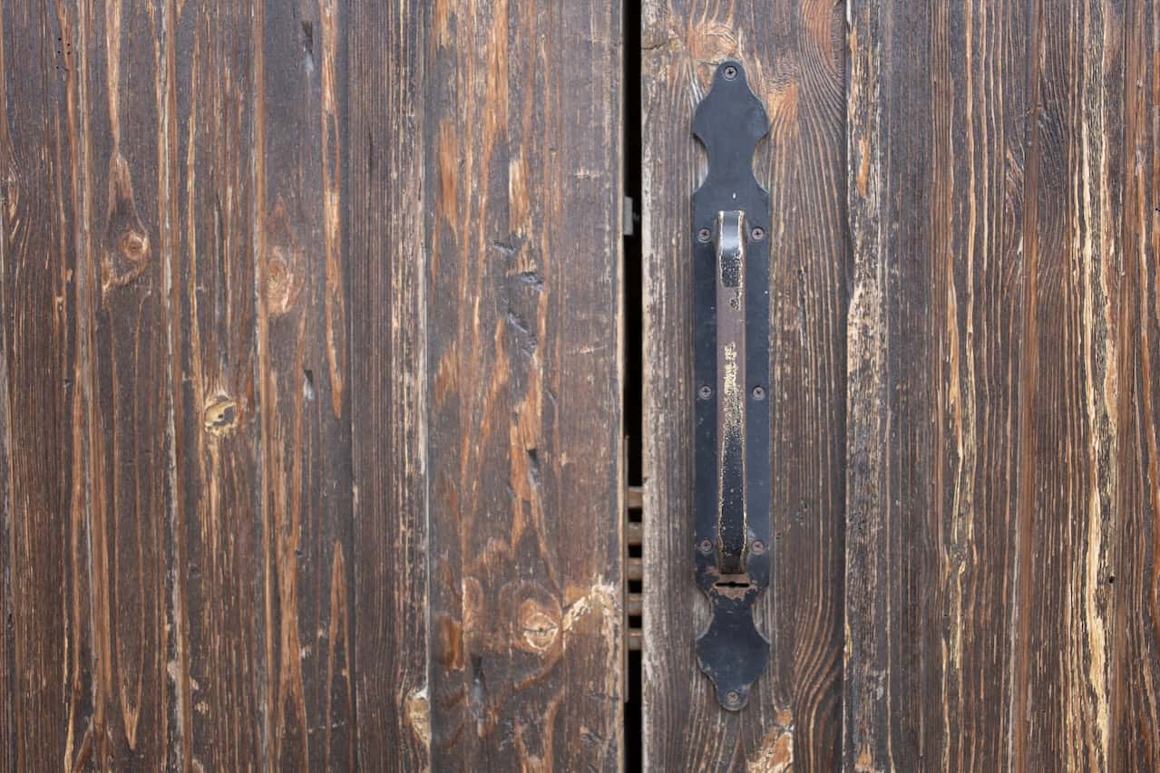 Textured Veneer Wood Door Design