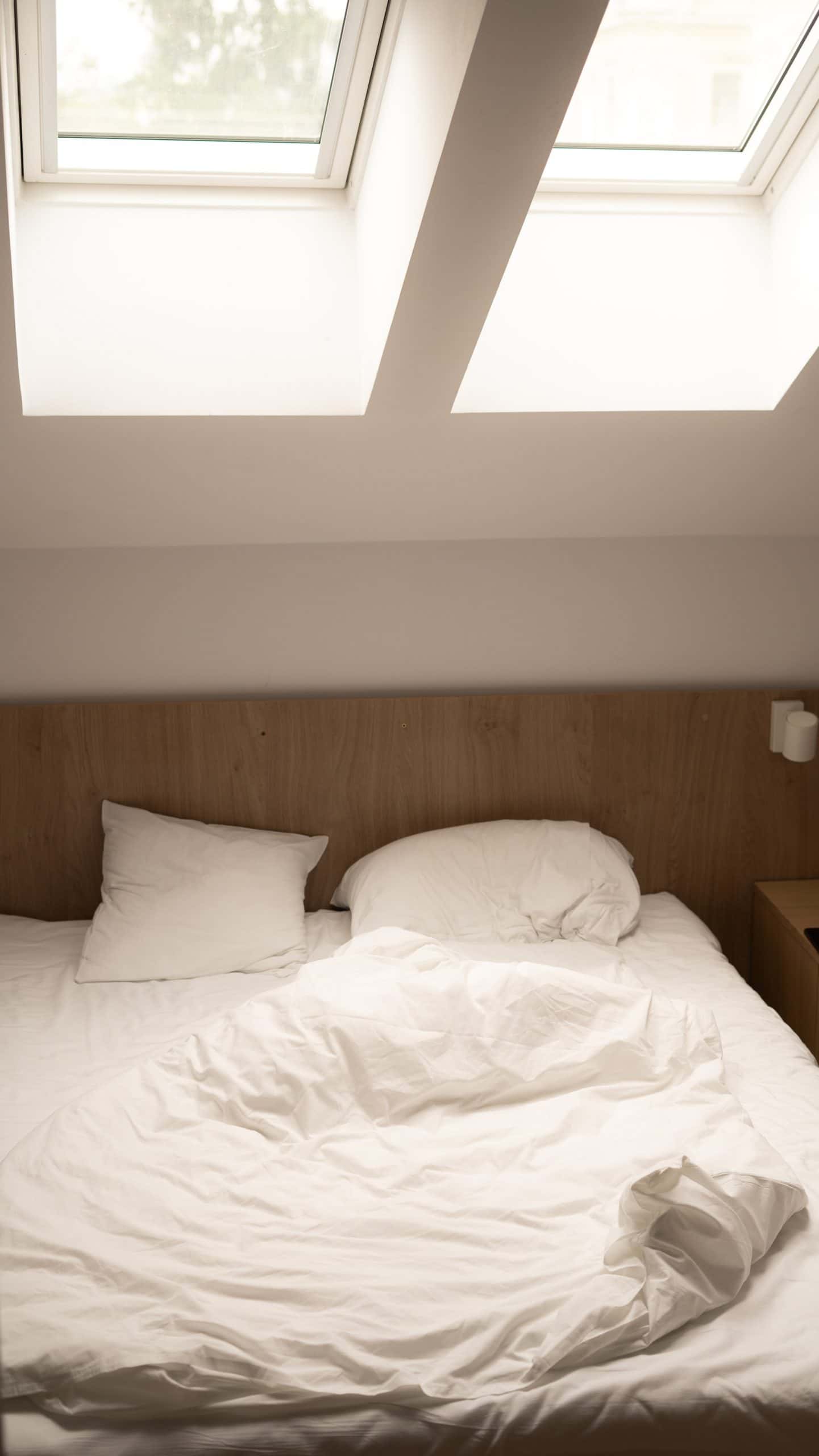 ventilating skylight roof window design