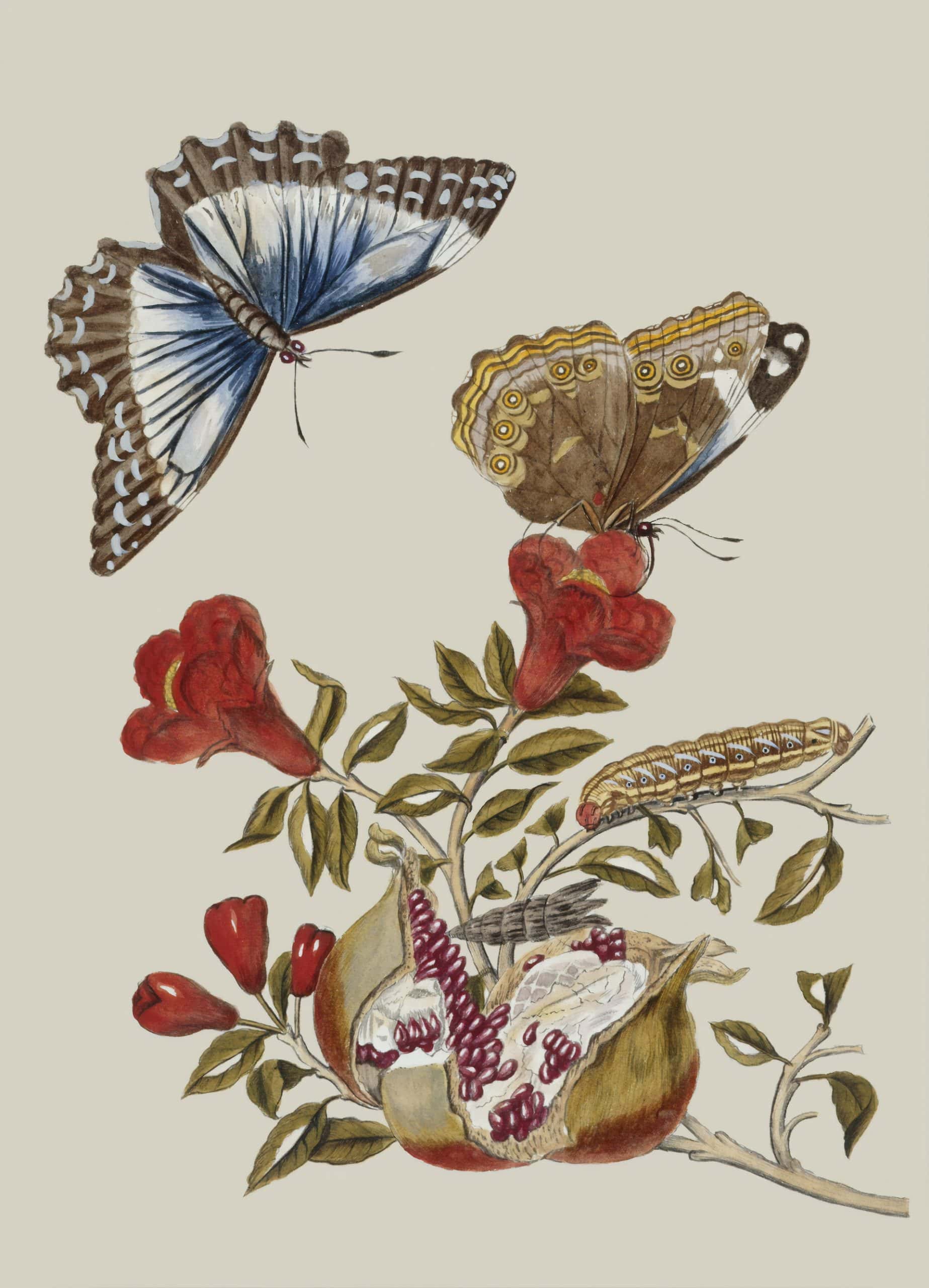 butterfly paintings vastu