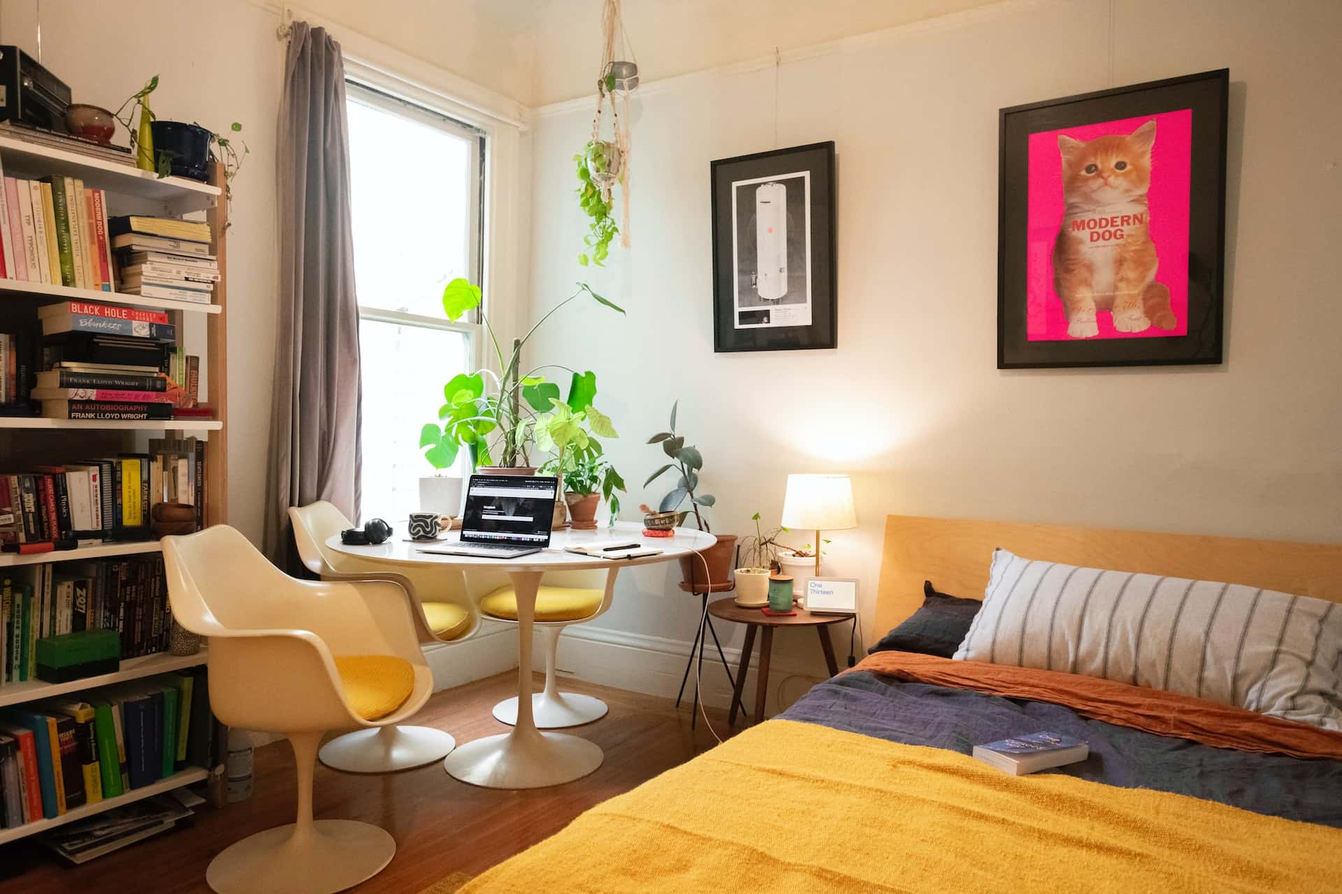 DIY Louis Vuitton plant wall  Fall bedroom decor, Cool dorm rooms, Dorm  room designs