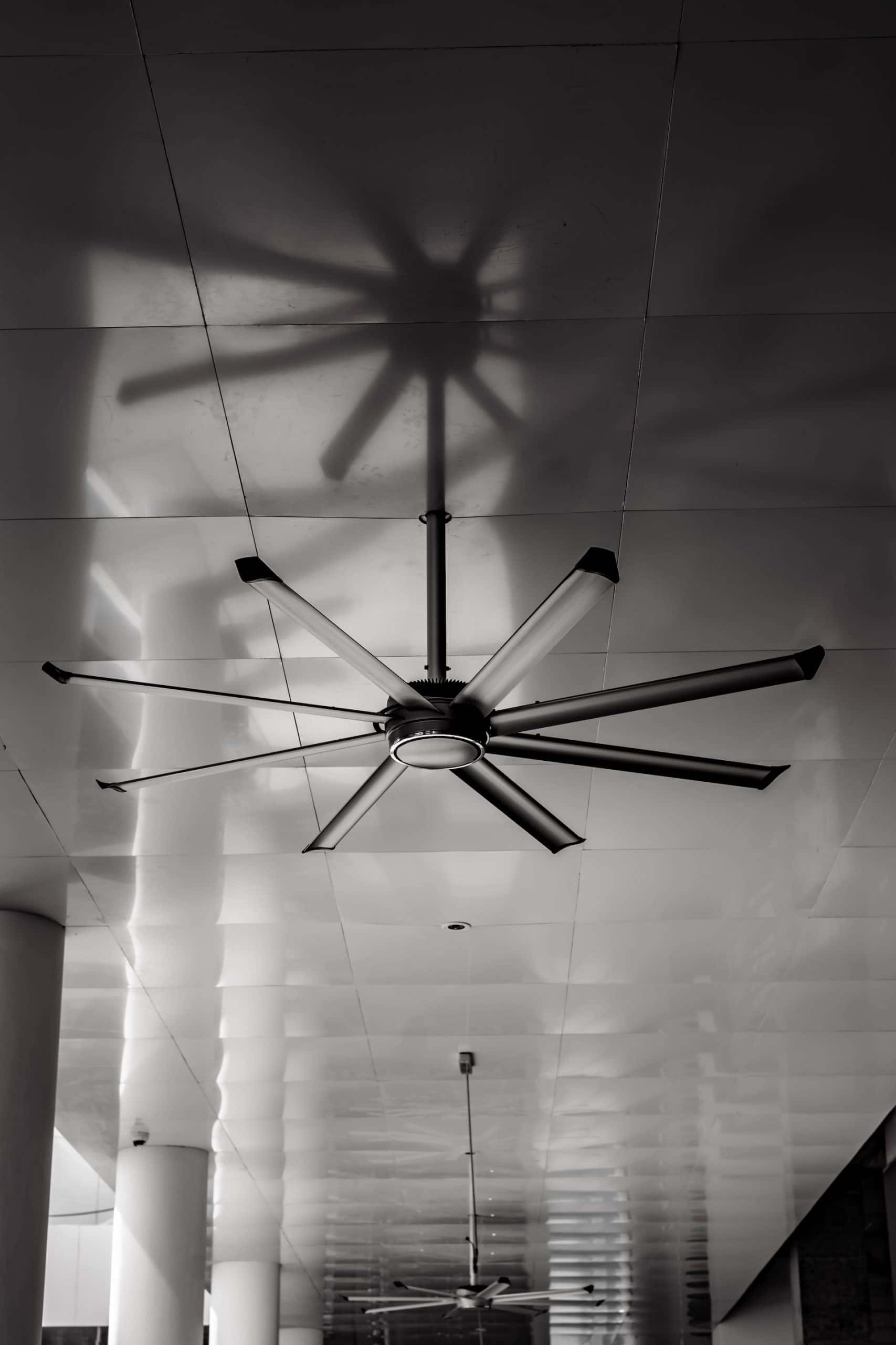 double ceiling fan