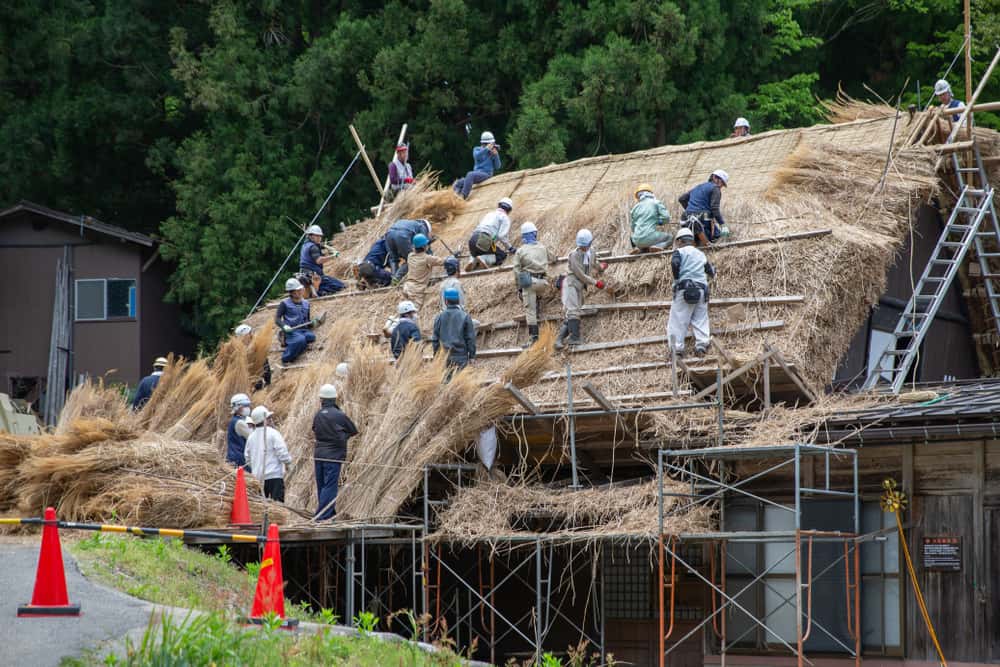 thatched roof maintenance