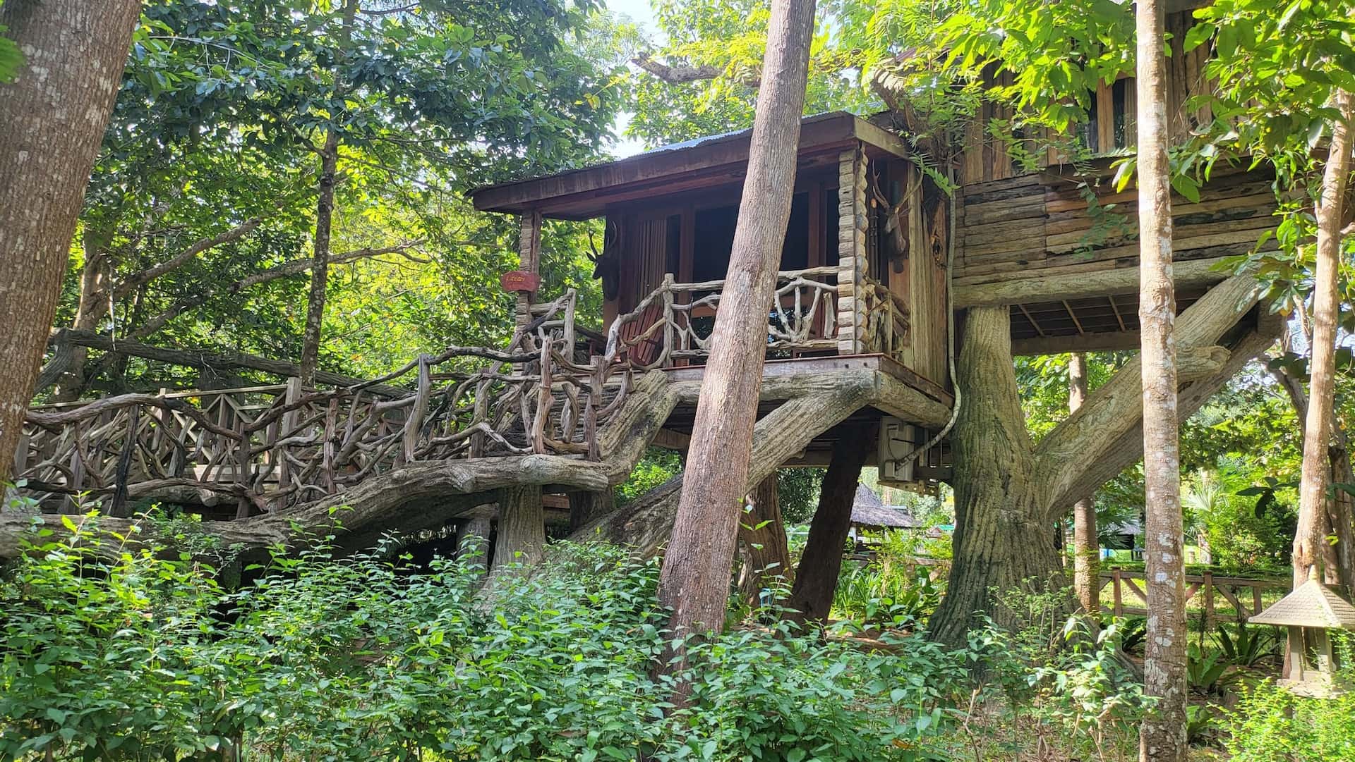 twirly wood tree house