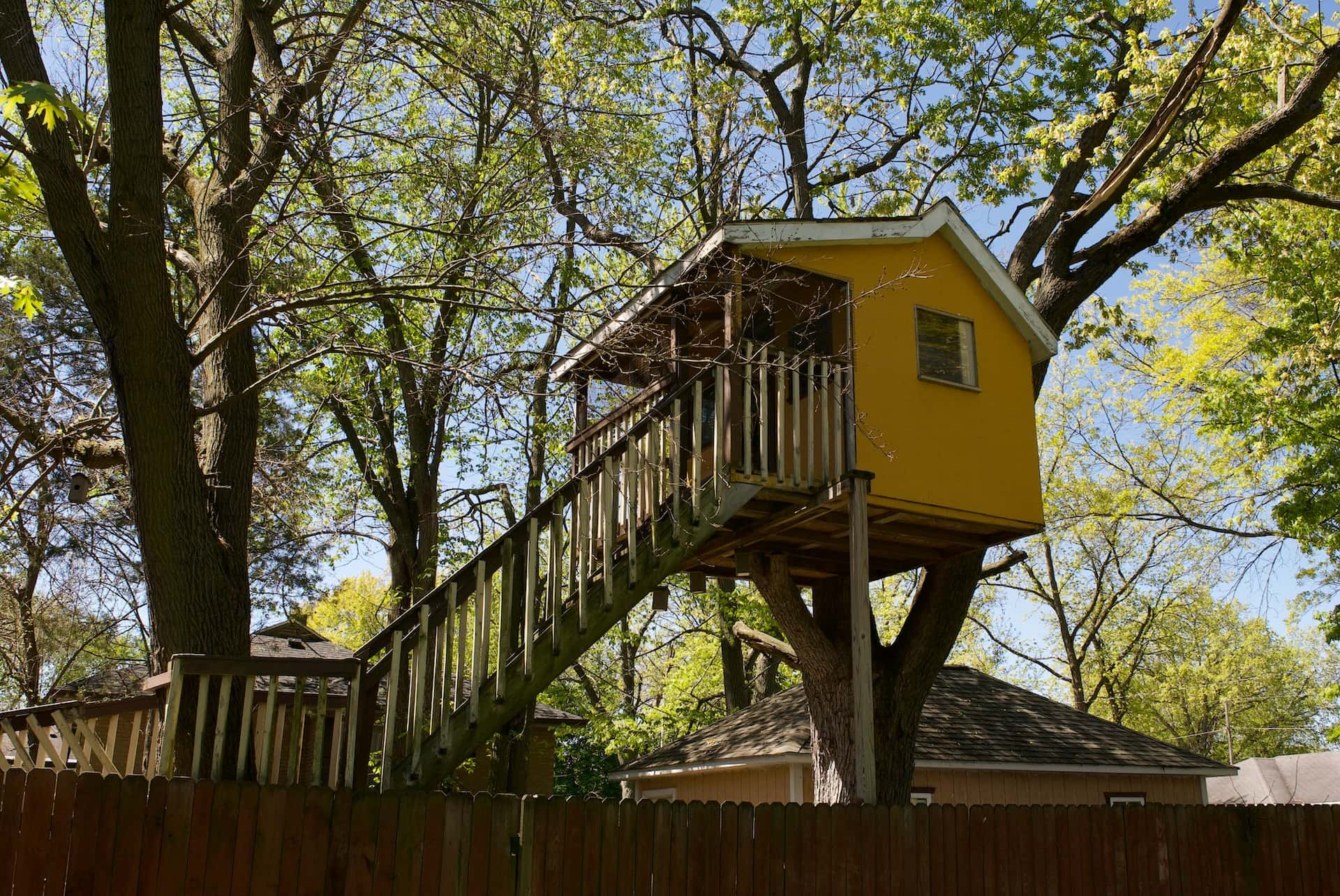 yellow tree house