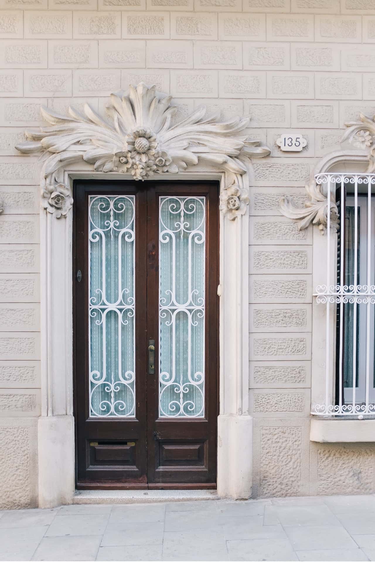 aesthetic net door for modern homes