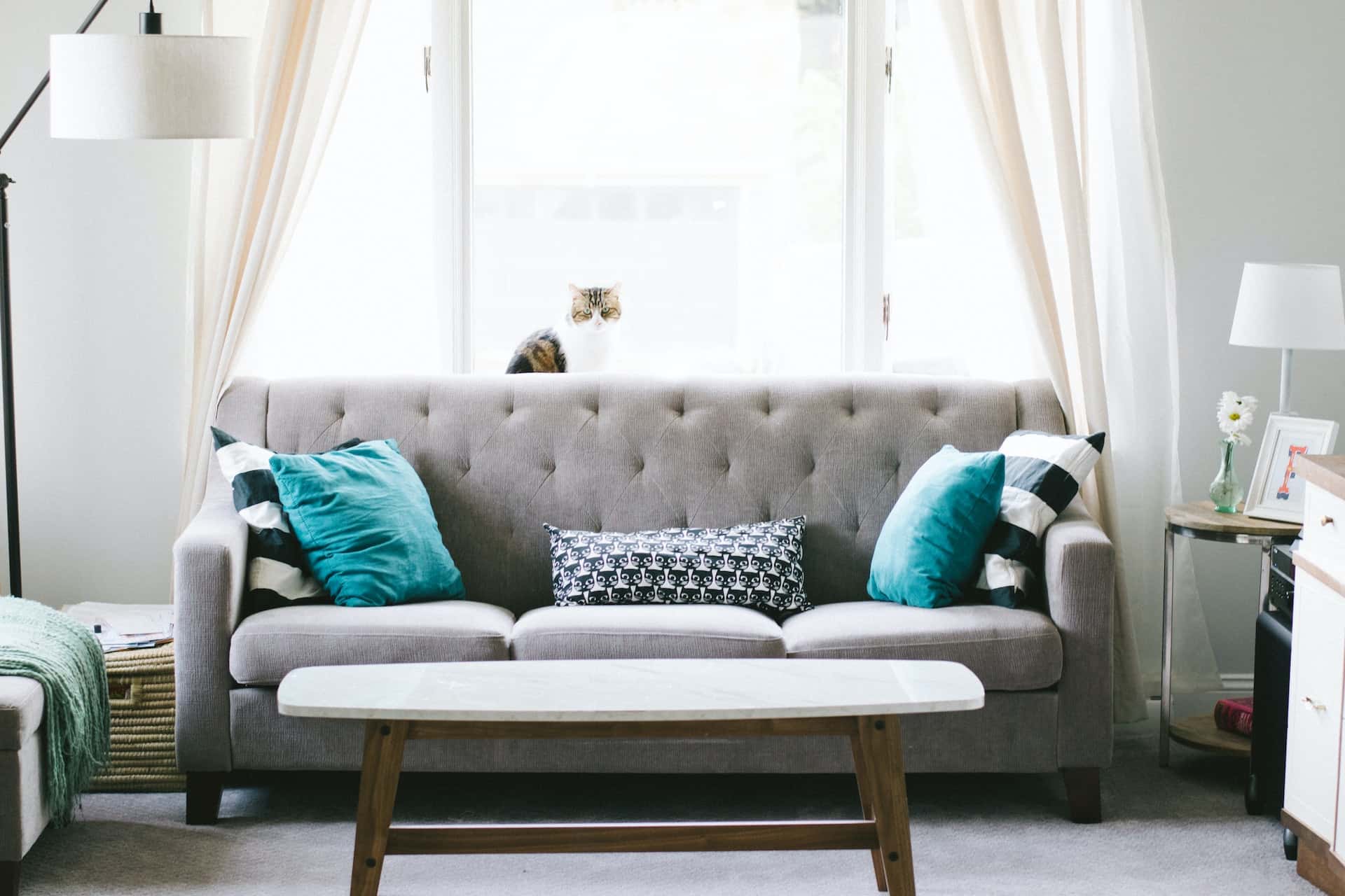 18 Trendy Sofa Cushion Designs For