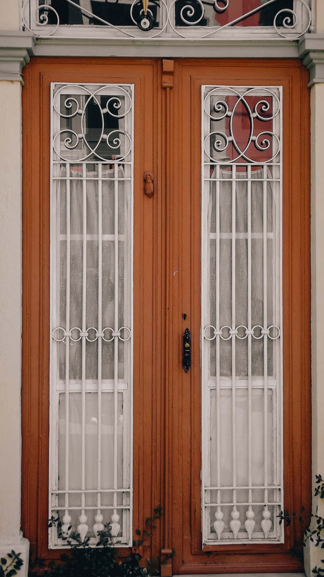 full-length iron grilles door