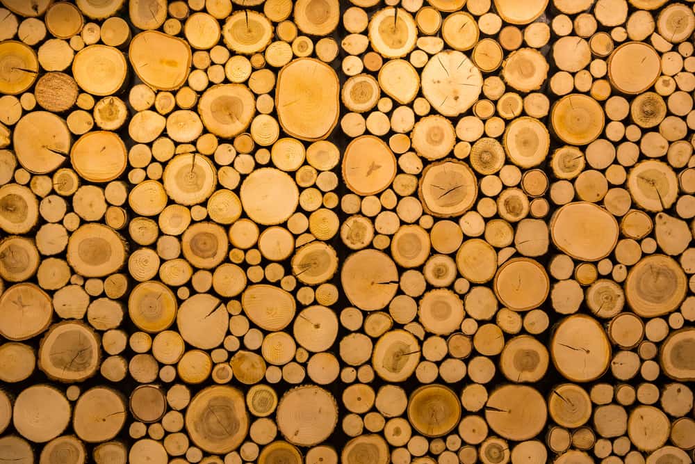 tree bark rings tiles