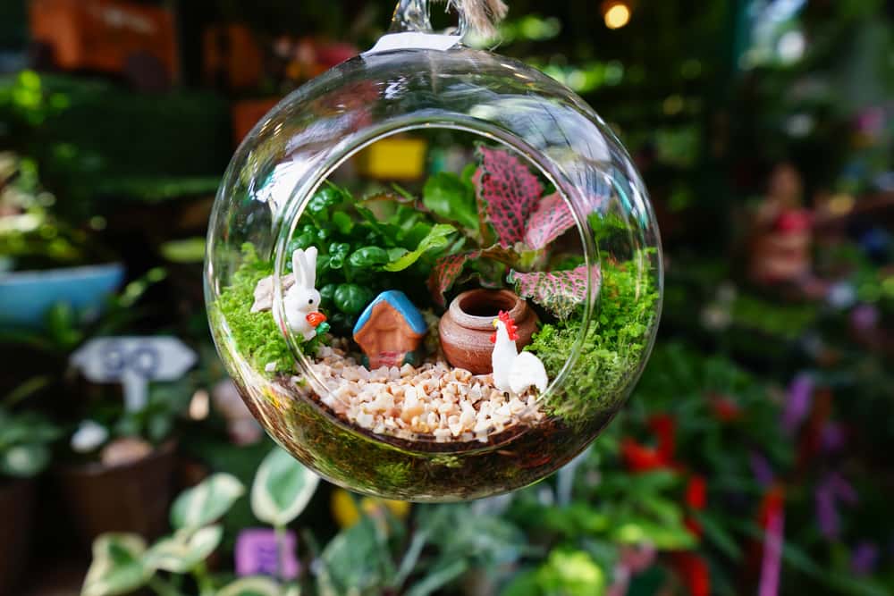 fishbowl mini garden design