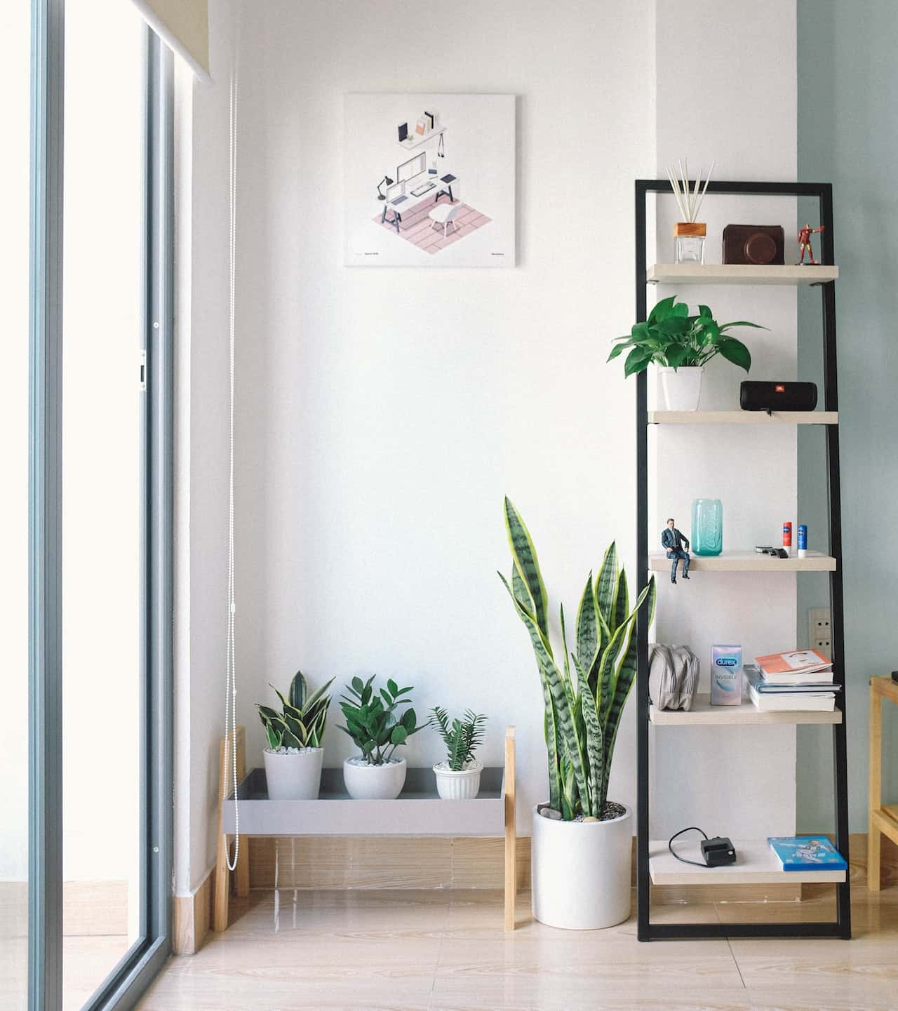indoor plants in the living room corner